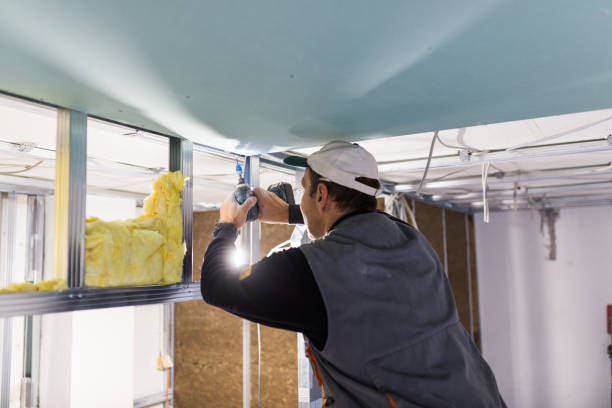 Best Geographic-Specific Insulation Services in Brownsville, LA