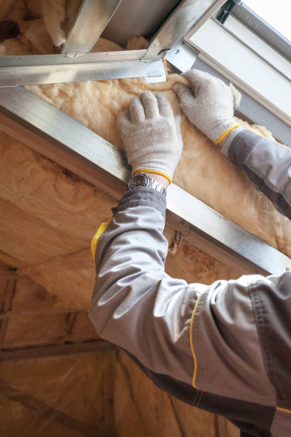 Reliable Brownsville, LA Insulation Contractor Solutions