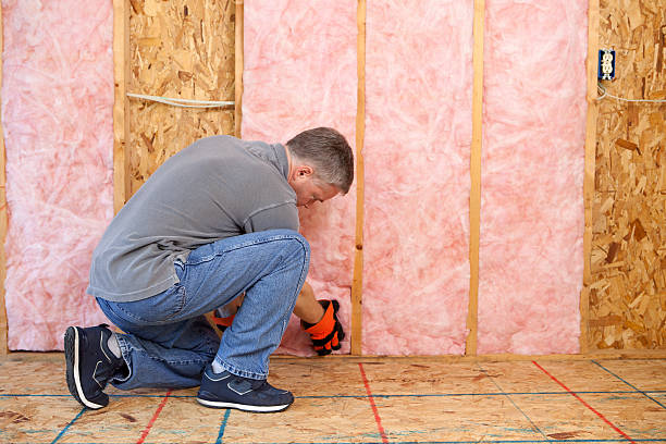 Best DIY Insulation Kits and Guidance in Brownsville, LA