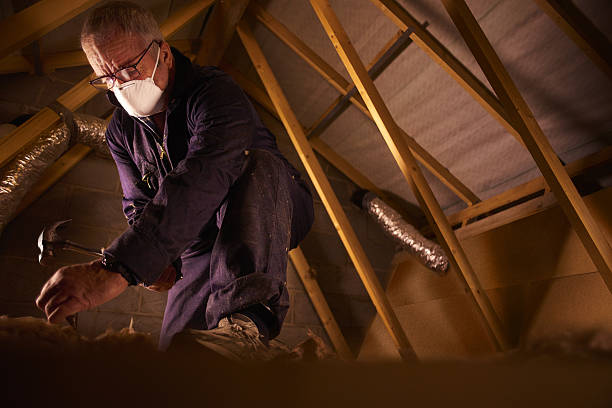 Best Insulation Maintenance and Repair in Brownsville, LA